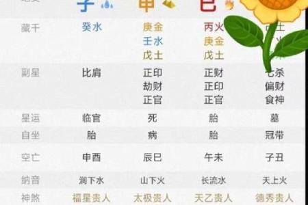 六柱在线排盘：破解命运密码，助你做出明智决策