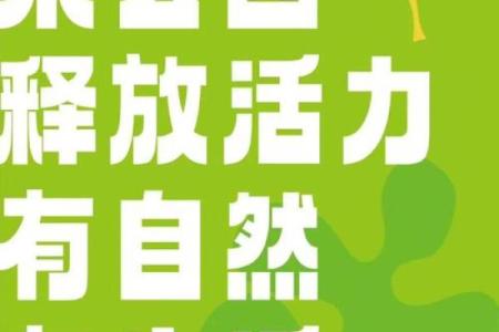 用心取名字，打造独特公园新魅力