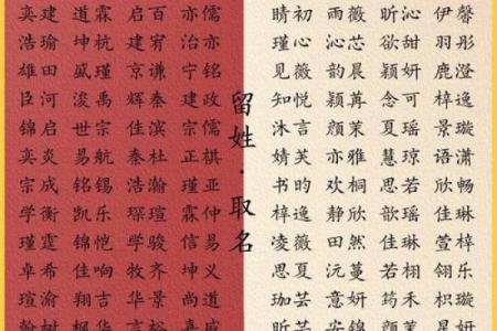 夏日出生宝宝的名字，带来无限阳光与希望
