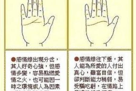 揭秘女性手相婚姻线：读懂你的爱情命运