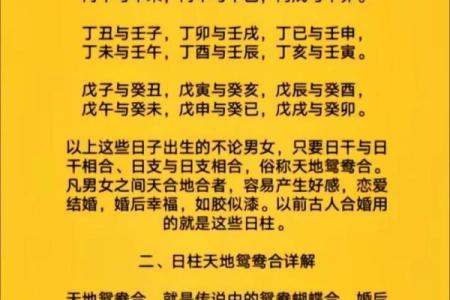 一学就会的八字风水秘术：揭开四柱奥秘，布局幸福人生