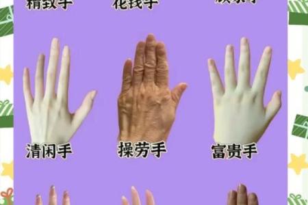 鸭嘴手相揭秘：揭秘登审背后的神秘力量