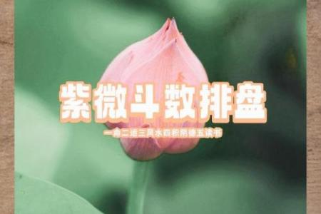 百度网紫薇排盘深度解析：探索你的人生密码