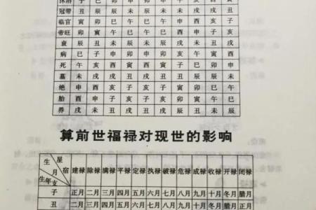 5月11日出生的人，揭秘你的命运之谜