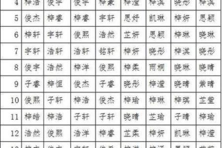 如何为男孩起个有意义的名字