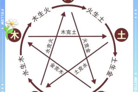 天干阴阳结合，解开命运中的神秘密码