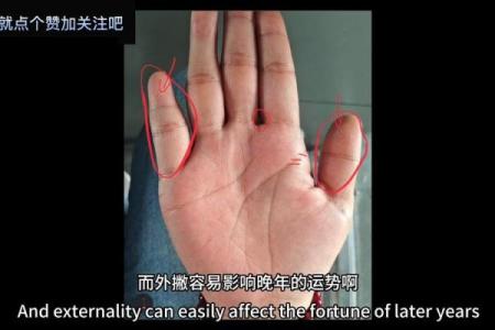 掌中财富之路：揭秘手相三主线，掌握财运密码