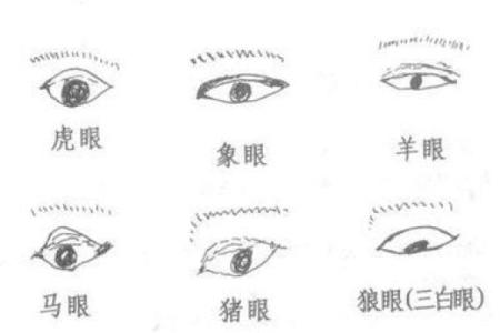 面相揭秘：一眼识破生死命运，你的面相预示着什么？