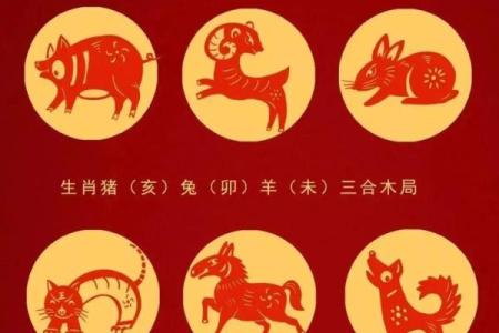 深度剖析：众五行每一属相的独特象征