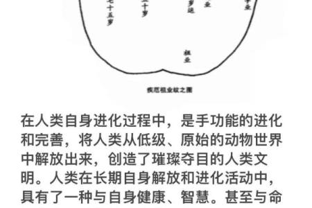 手相揭秘：事业线上的神秘影响，财运亨通的秘密通道