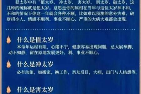 曲炜的八字，藏着怎样的人生机遇？