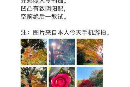 阴阳相配，生活更精彩