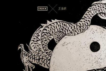 鸡龙组合：传统与现代的完美融合
