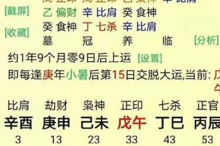 命理几两评分大解析，看看你的命运如何