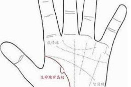 免费手相看命运，一招揭秘你的未来运势