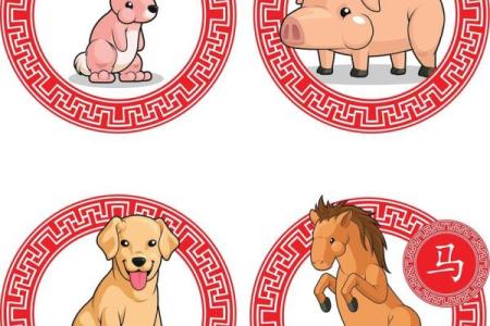 牛气冲天遇金鸡，天生一对？