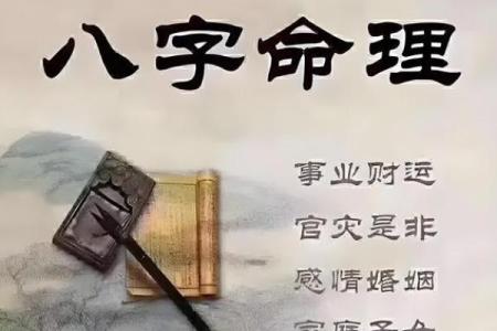 八字大全：命理高手必备的智慧宝典