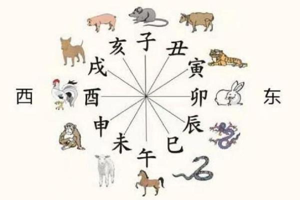 属相揭秘：揭秘风水方位对运势的影响，助你趋吉避凶