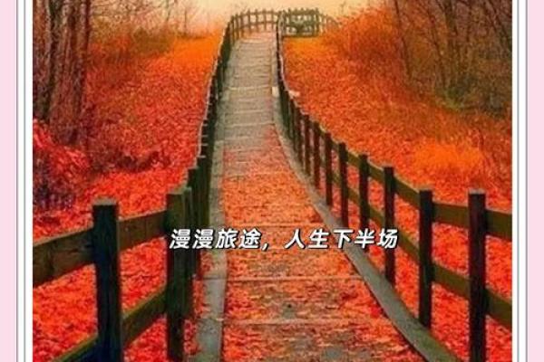 揭秘命理之谜：仇神竟是人生转折的关键因素