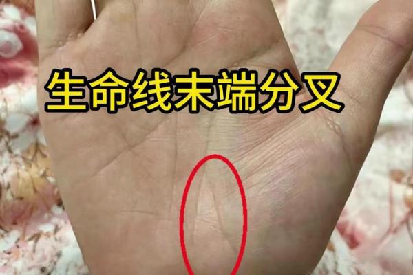 揭秘手相生命线起端，你的命运从此改写