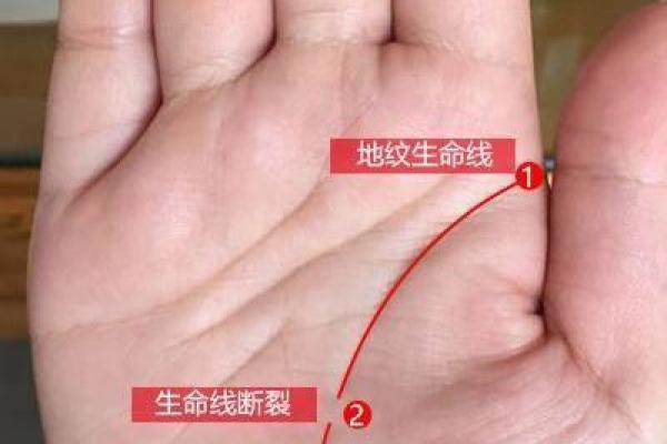 揭秘手相生命线起端，你的命运从此改写