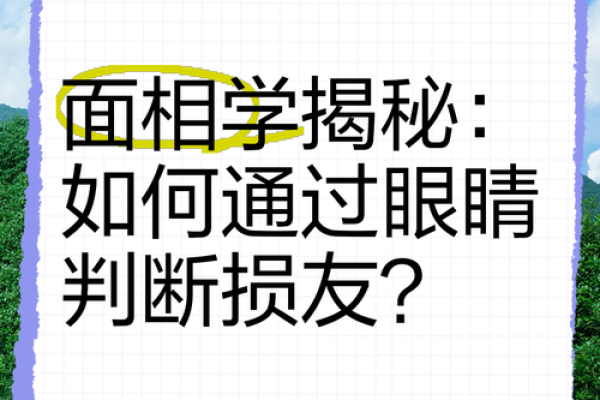 面相揭秘：一眼识人，揭秘命运玄机