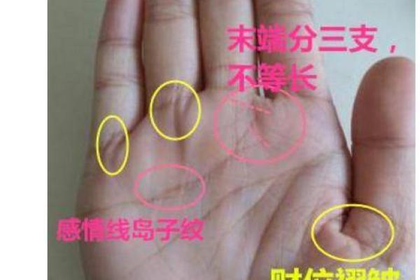 手相中心三角：揭秘财运亨通的秘密