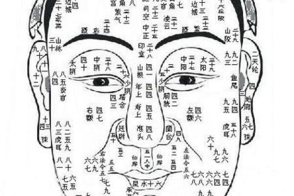 面相算命，真的准吗？揭秘神秘面相学的惊人秘密