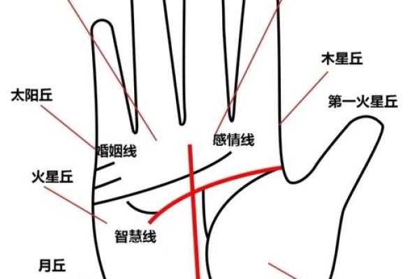 揭秘手相学的神秘奥秘：掌握命运密码的神奇指南