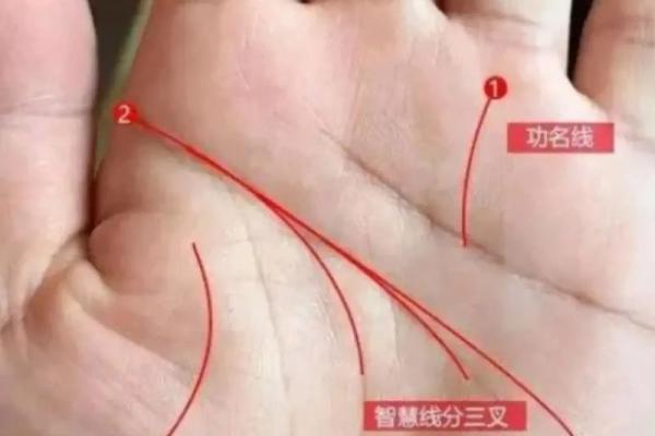 揭秘面相奥秘：手相面相全知道，让你一眼看透人心