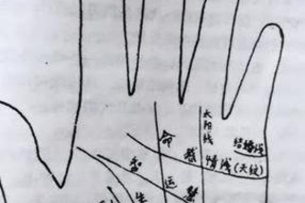 揭秘面相奥秘：手相面相全知道，让你一眼看透人心