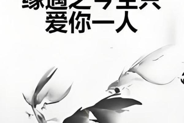狗缘相配，爱情甜蜜升级