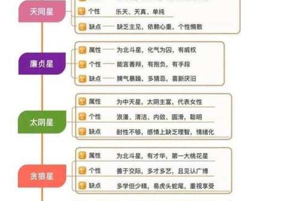 专家解读紫微斗数排盘：助你精准预测未来运势