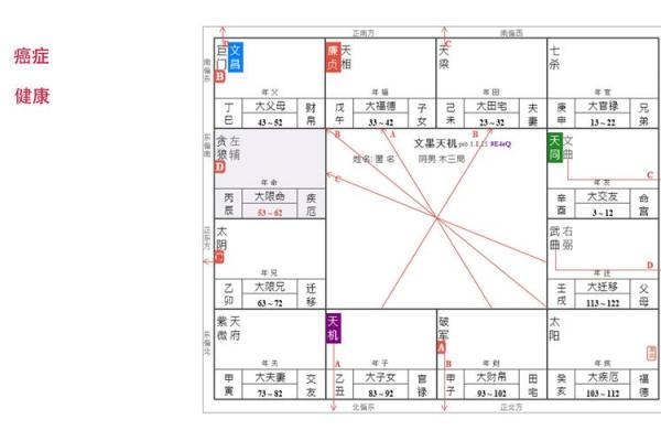 专家解读紫微斗数排盘：助你精准预测未来运势
