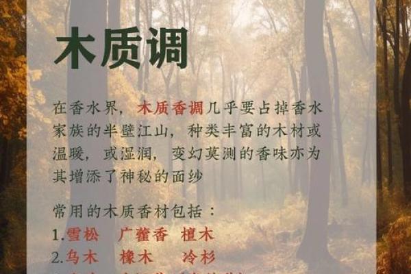 布料五行属性详解，揭开神秘面纱