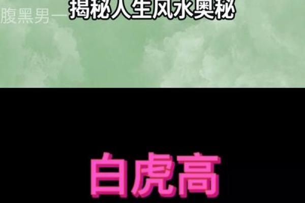 揭秘无子面相：命运之谜还是生活选择？