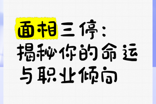 揭秘无子面相：命运之谜还是生活选择？