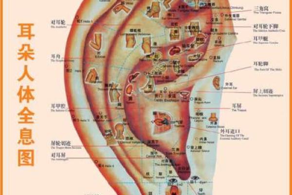 面相揭秘：这些面相特征暗示你会在何时迎来婚姻大事