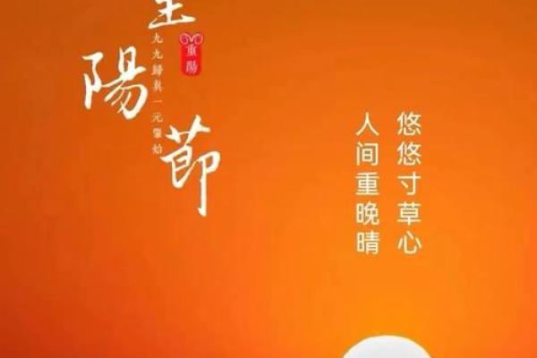 登高赏菊，共度重阳佳节