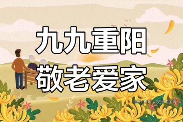 登高赏菊，共度重阳佳节