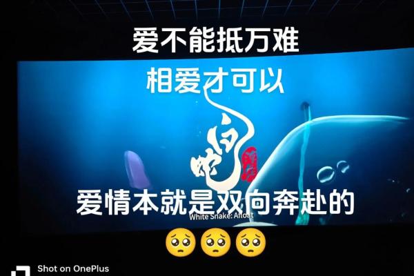 同年同月同日生，91年情缘？