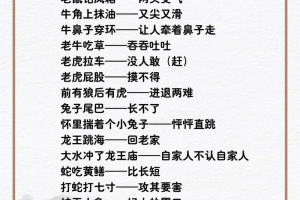 揭秘：清生肖背后的神秘力量