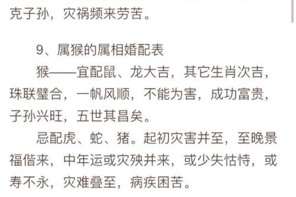 女牛婚姻指南：揭秘最适合你的伴侣类型