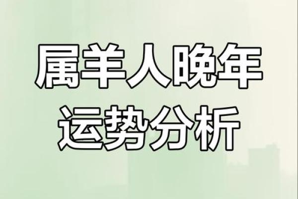 属羊人运势大揭秘，命理专家给你指引