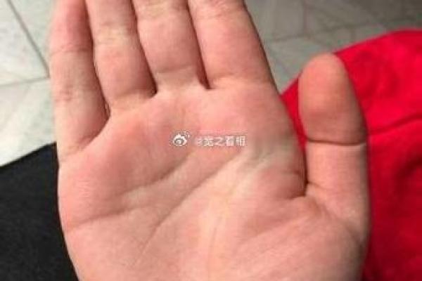 手相揭秘：感情线断裂暗示什么？揭秘断线背后的惊人秘密