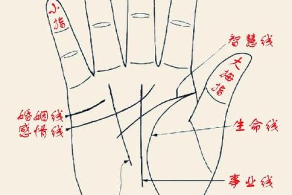 手相秘术：一掌之间，揭秘你的健康密码