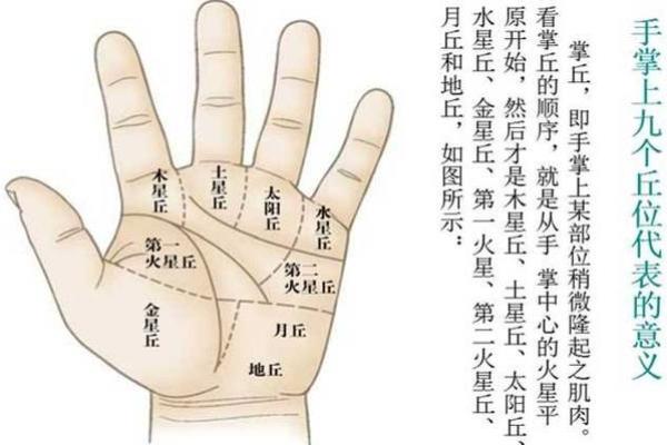掌中事业线预示着你的成功人生，揭秘中指下的秘密力量