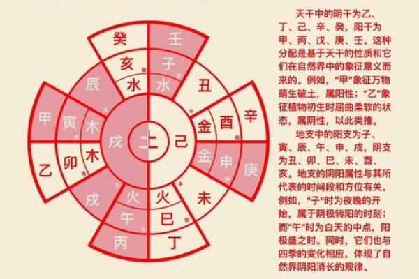 十二天干五行属性揭秘，你的五行与命运息息相关