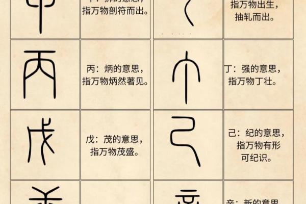 天干丁壬日时合，揭示命理中的神秘力量