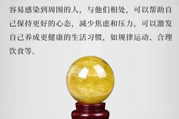 用一米理象数命理看透未来，数字预示人生轨迹